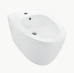 Wall Hung Bidet with Accessories Set - VGS-WHT-81153 - White