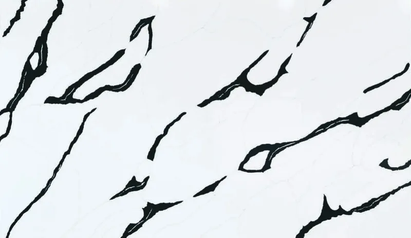 Calacatta Nero - Series 6