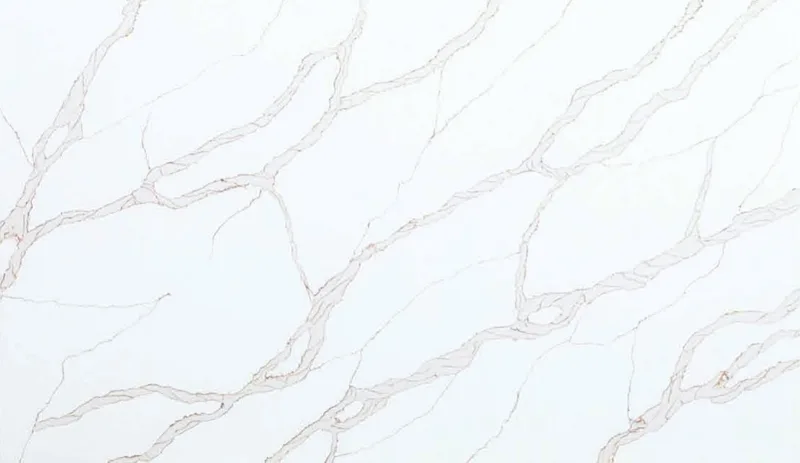 Calacatta Rivolo - Series 6