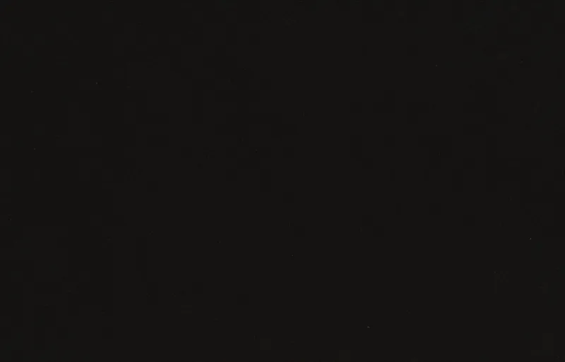 KalingaStone Quartz Nero Classic swatch