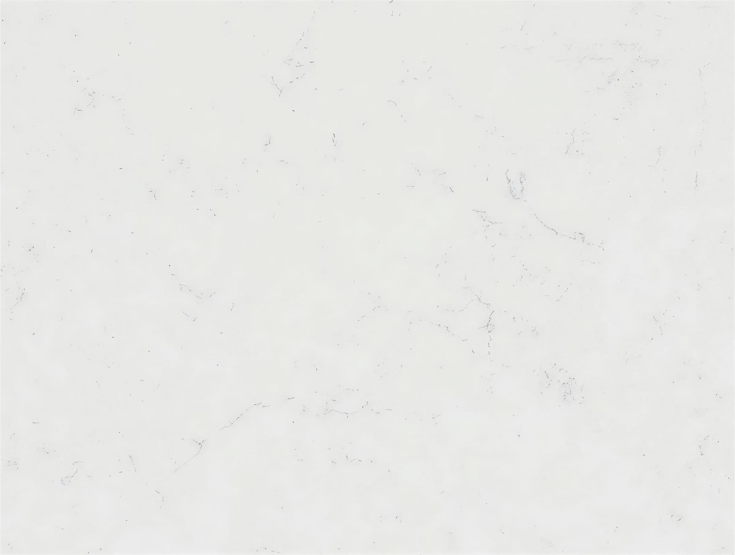 Bianco Gioa - Series 5