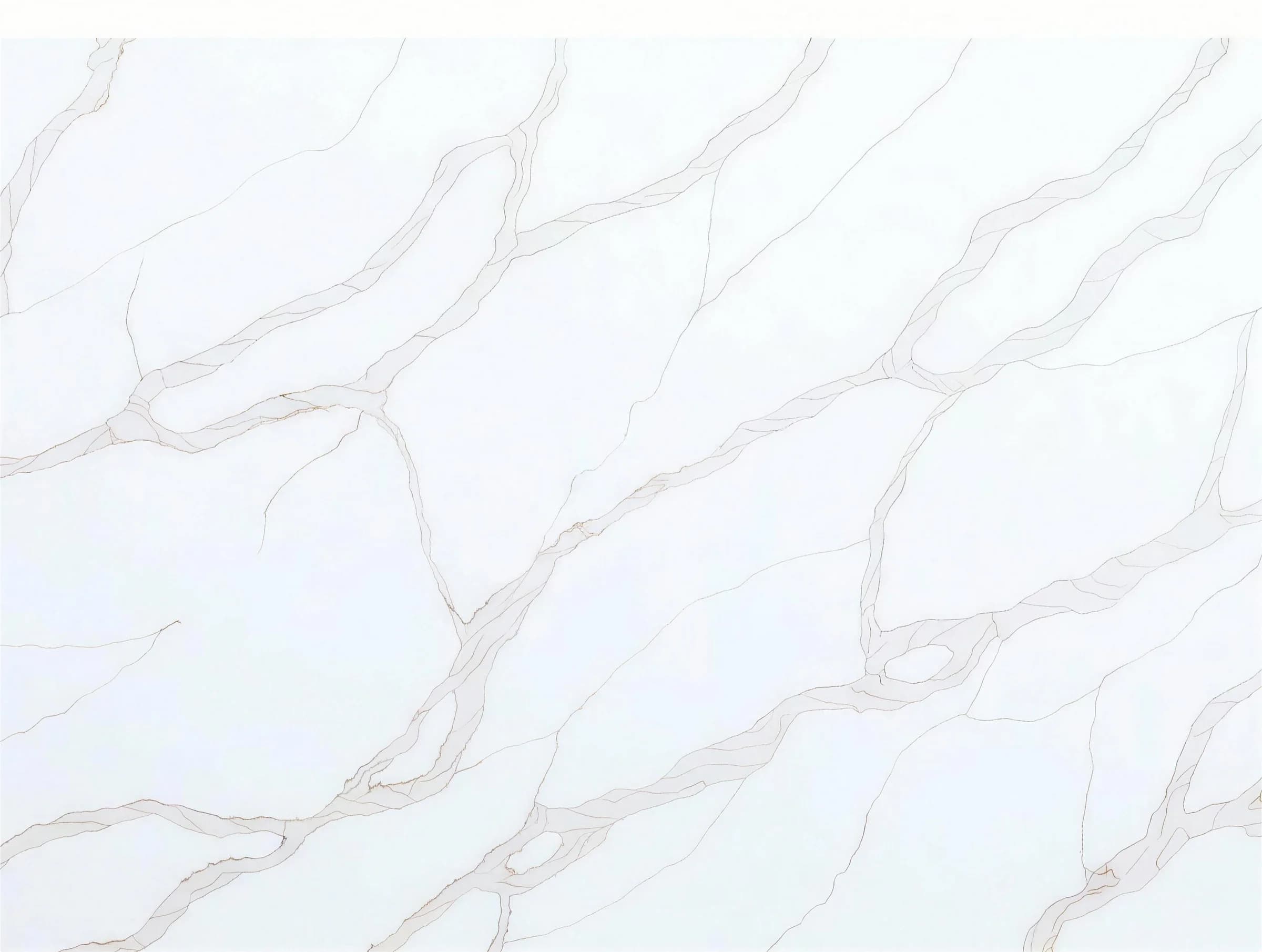 Calacatta Rivolo - Series 6
