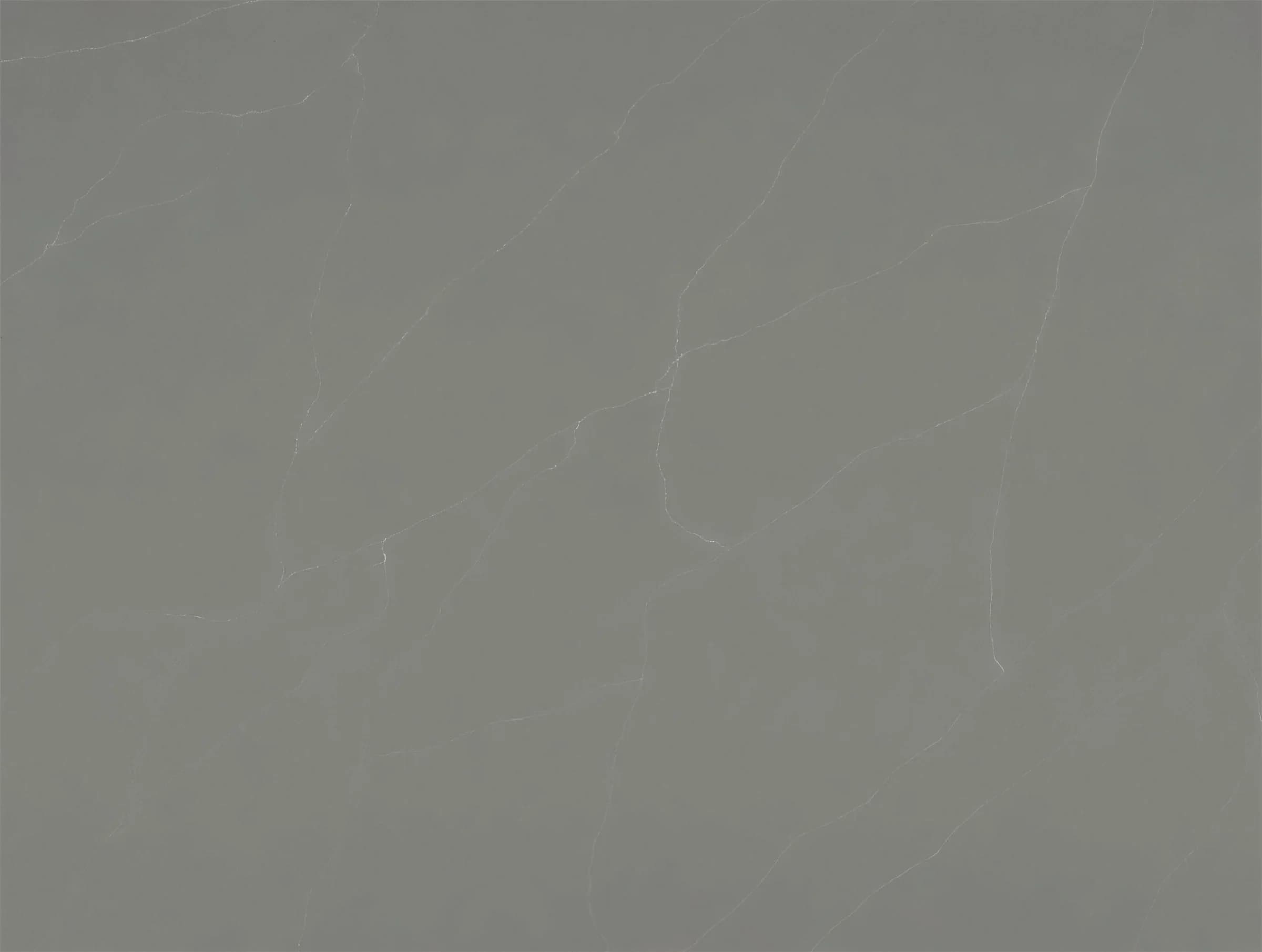 Pietra Grey quartz swatch